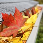 Gutter with fall leaves