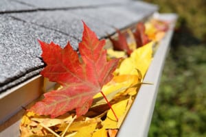 Gutter with fall leaves
