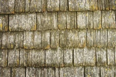 Cedar shingles