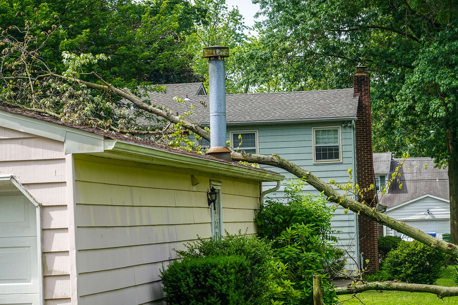 tree fell on roof