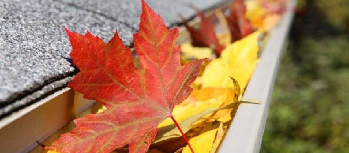 Gutter with fall leaves